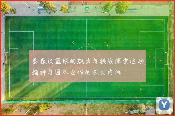 泰森谈篮球的魅力与挑战探索运动精神与团队合作的深刻内涵